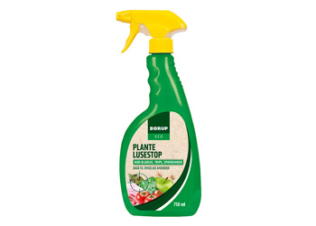 Plante Luse Stop